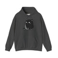 Cute Black Cat Hoodie – Kawaii Chubby Cat Graphic Sweatshirt