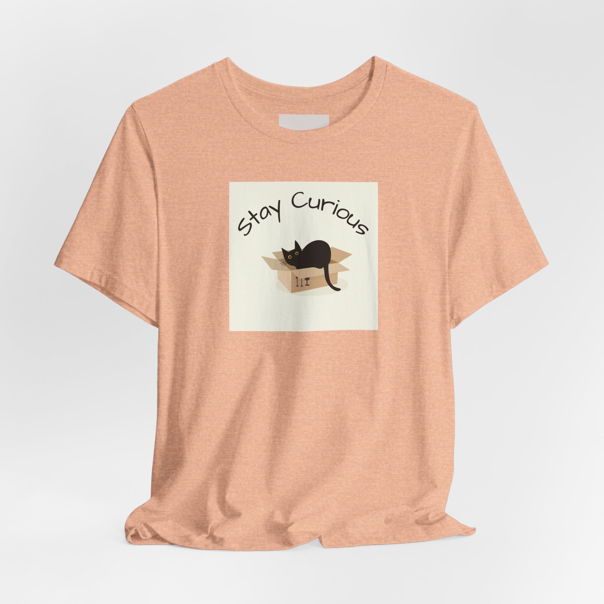 Stay Curious Cat T-Shirt — Cute Black Cat in Box Graphic Tee