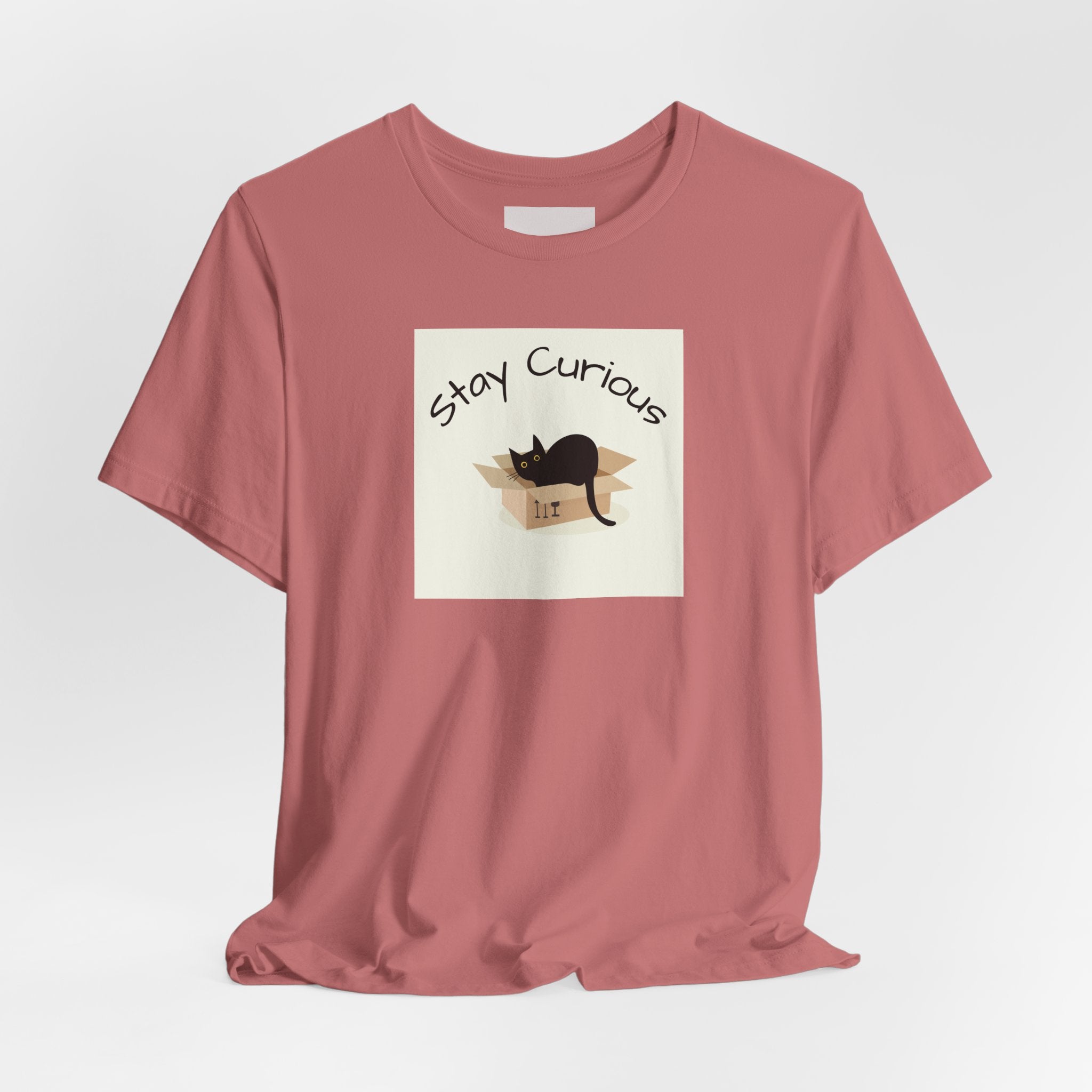 Stay Curious Cat T-Shirt — Cute Black Cat in Box Graphic Tee