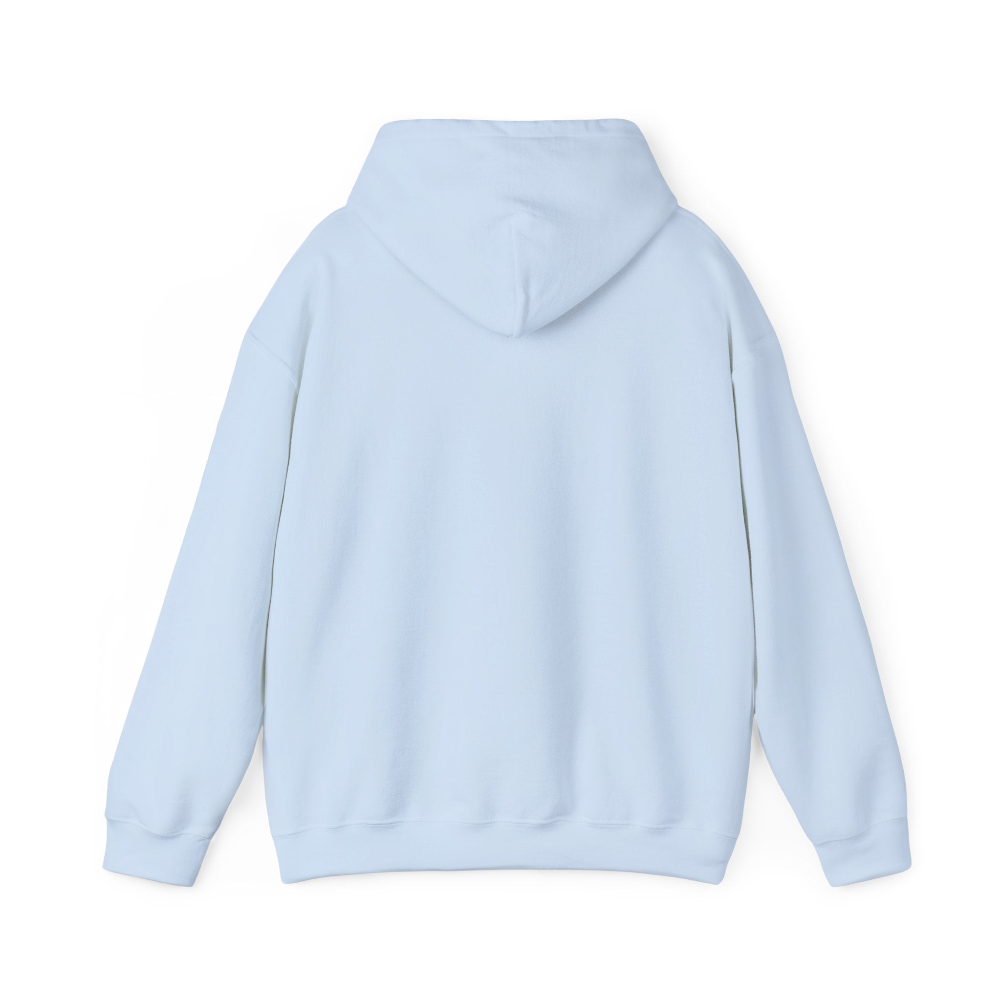 Sundays Are For Football Hoodie – Vintage Retro Football Fan Pullover