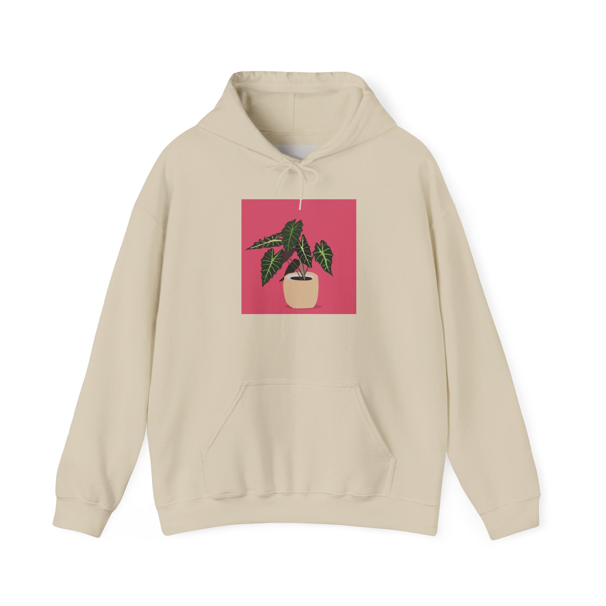 Potted Plant Hoodie – Pink Square Calathea Graphic Sweatshirt