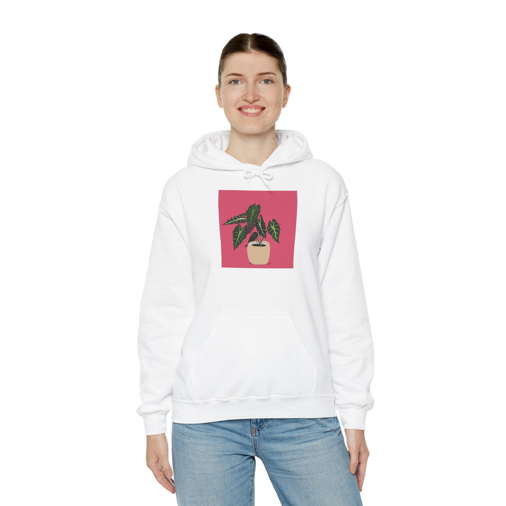 Potted Plant Hoodie – Pink Square Calathea Graphic Sweatshirt