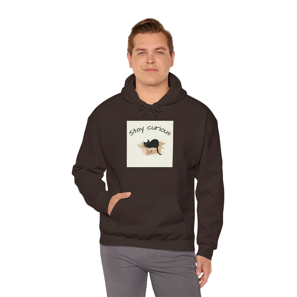 Stay Curious Cat Hoodie — Cute Cat Illustration Sweatshirt