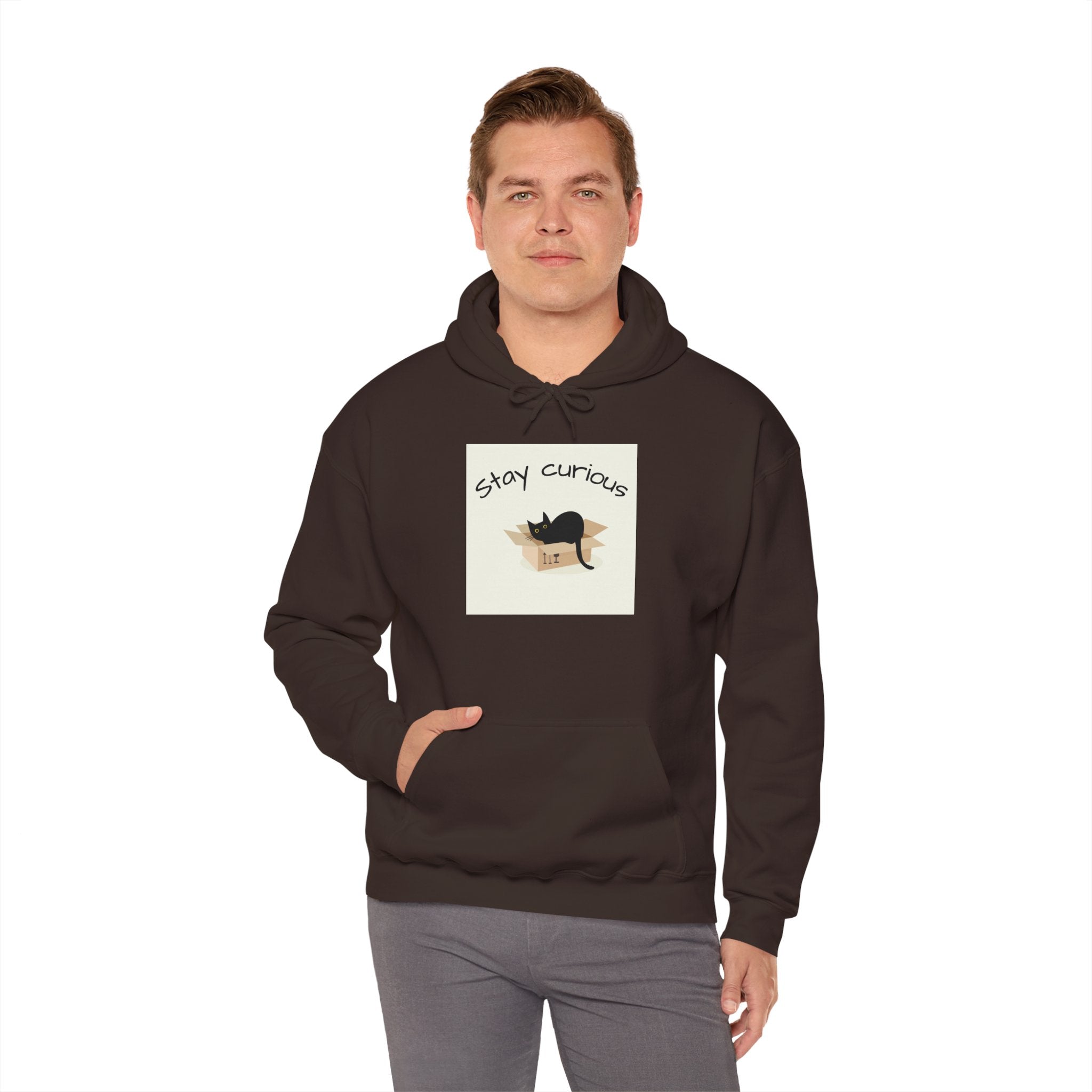 Stay Curious Cat Hoodie — Cute Cat Illustration Sweatshirt