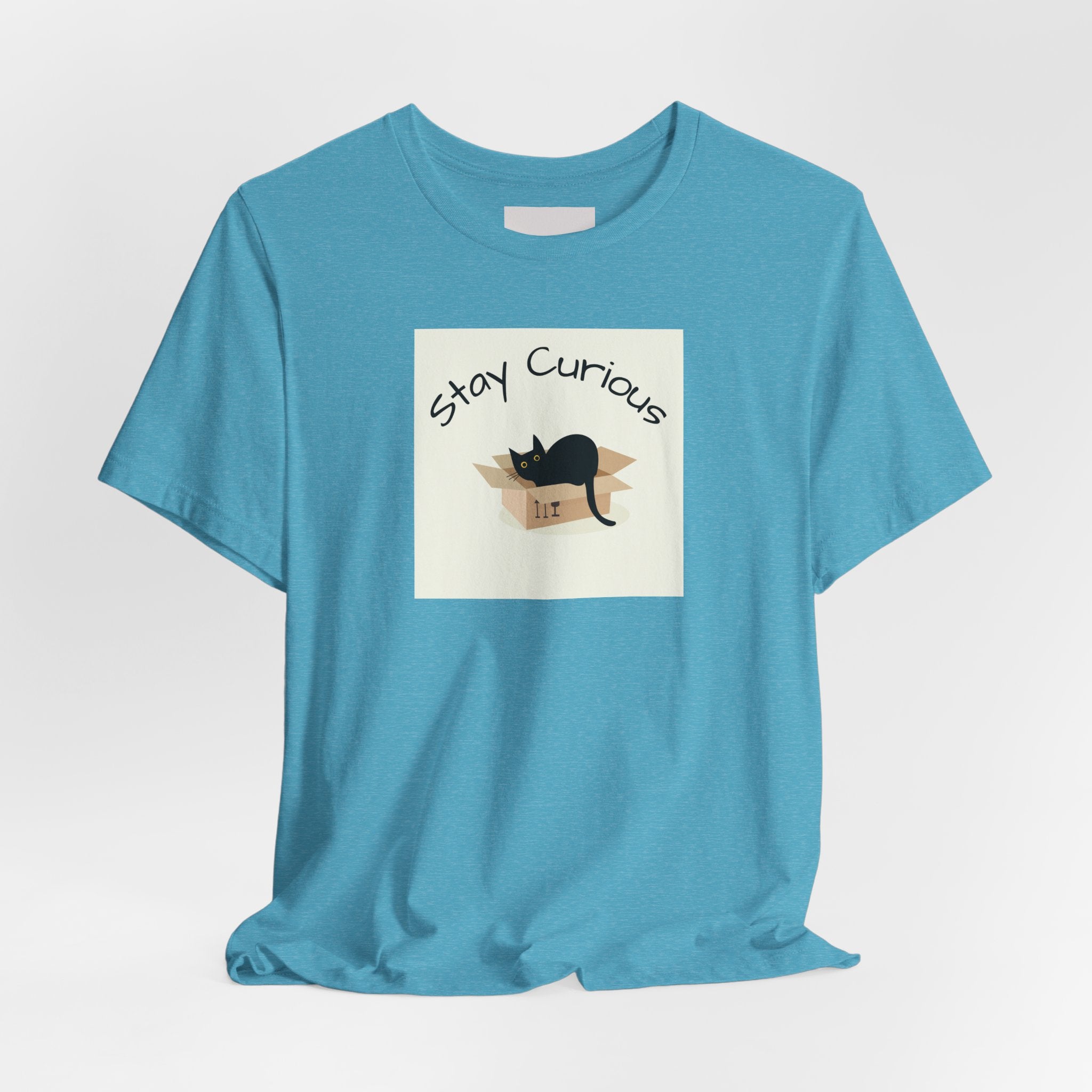 Stay Curious Cat T-Shirt — Cute Black Cat in Box Graphic Tee