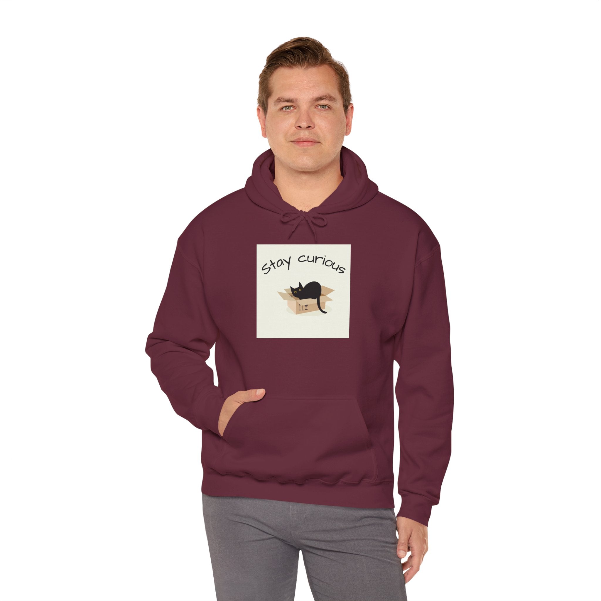 Stay Curious Cat Hoodie — Cute Cat Illustration Sweatshirt