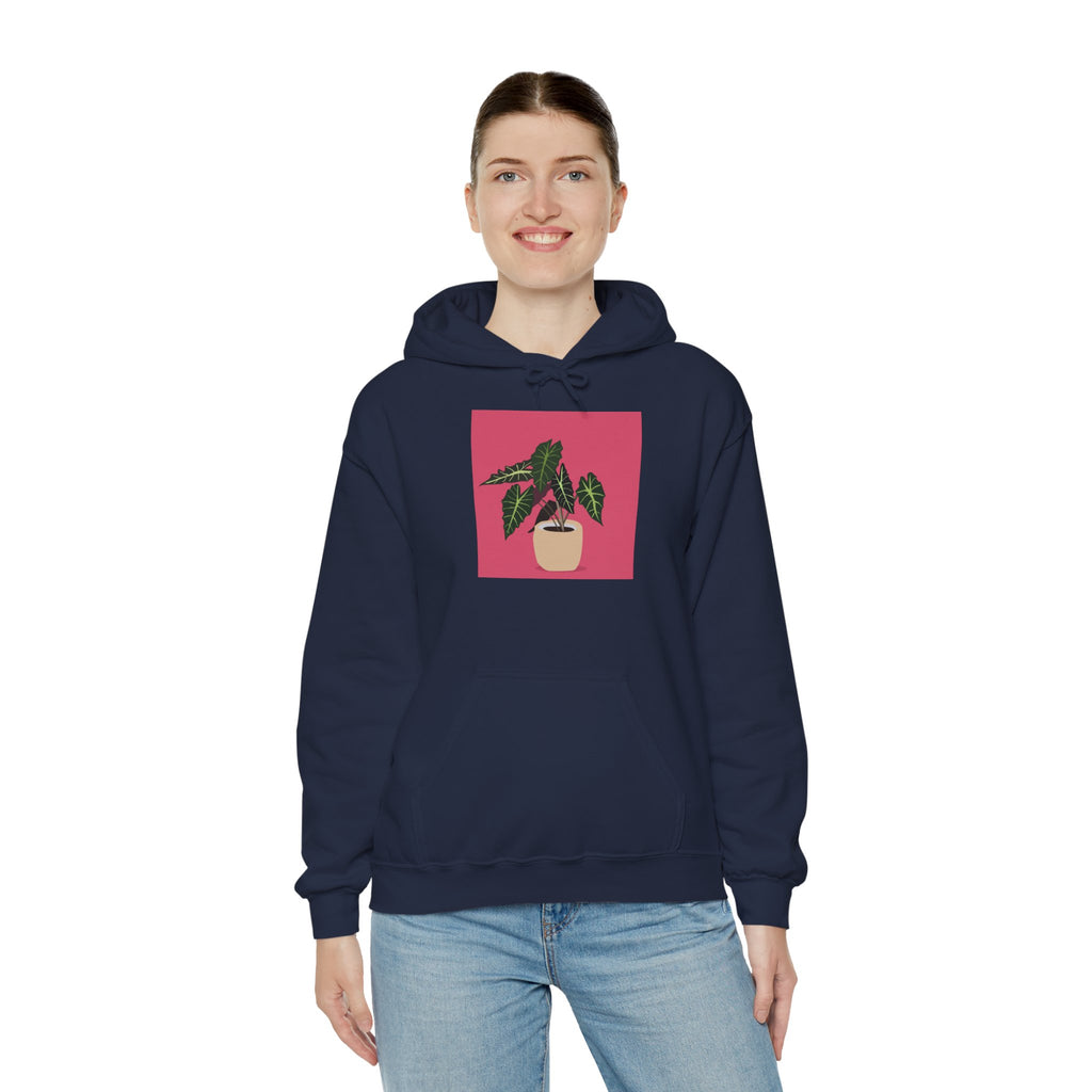 Potted Plant Hoodie – Pink Square Calathea Graphic Sweatshirt