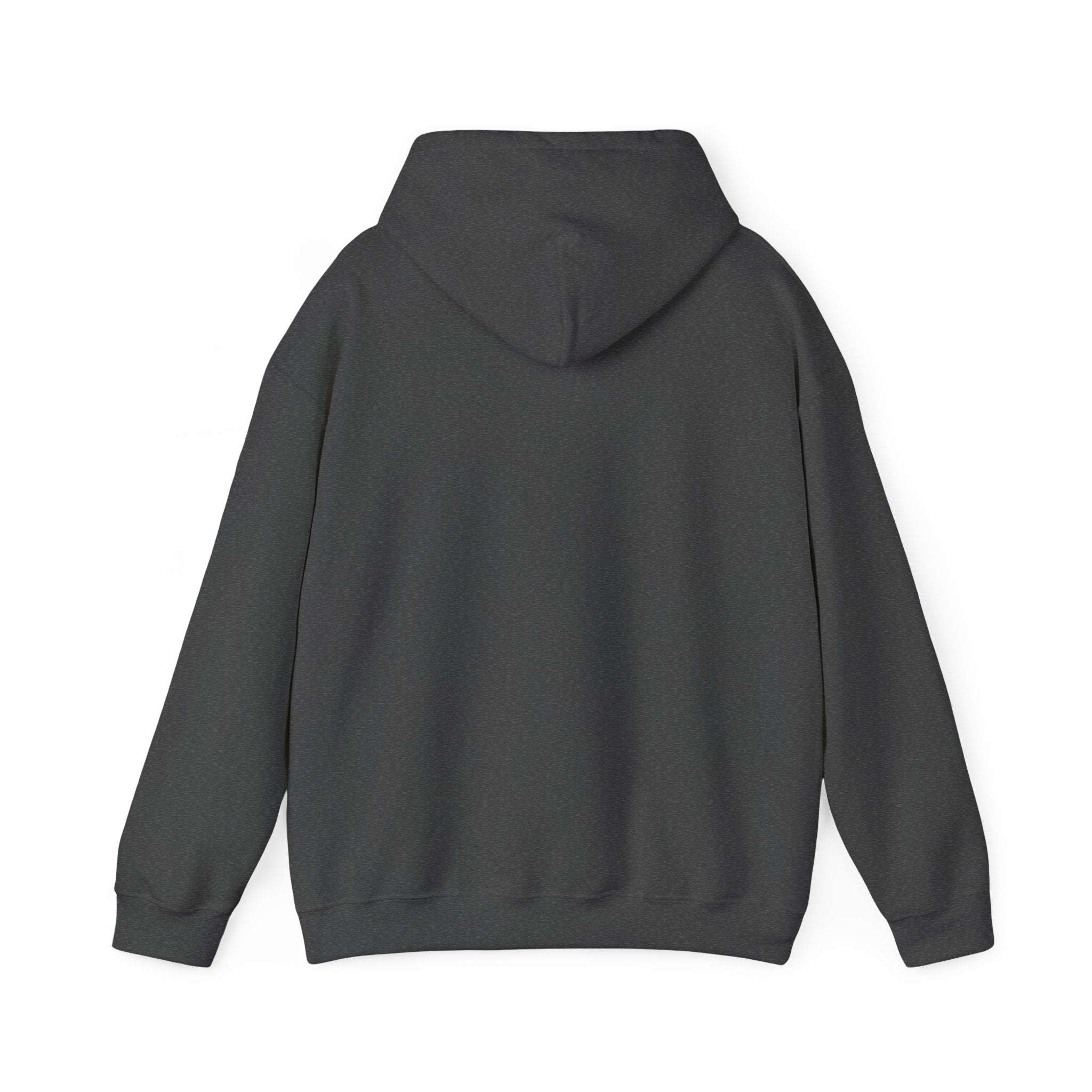 Sundays Are For Football Hoodie – Vintage Retro Football Fan Pullover