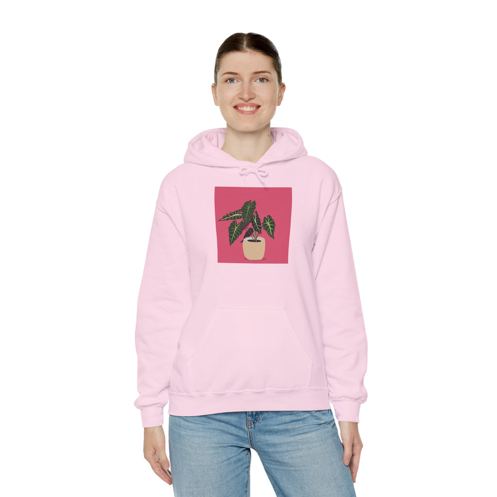 Potted Plant Hoodie – Pink Square Calathea Graphic Sweatshirt