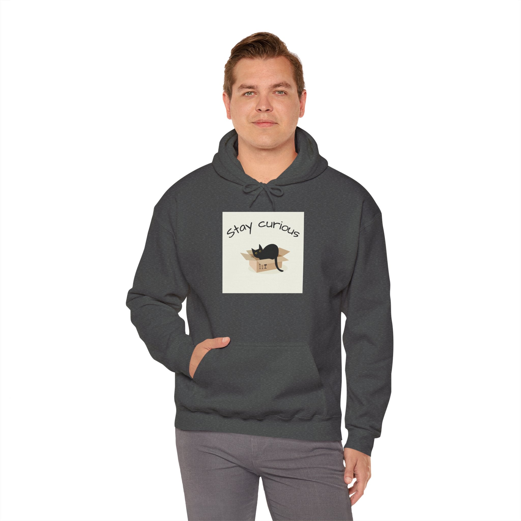 Stay Curious Cat Hoodie — Cute Cat Illustration Sweatshirt